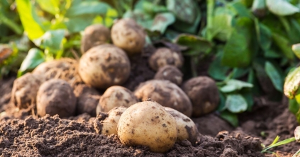 Még lehet pályázni, de nem minden beruházásra